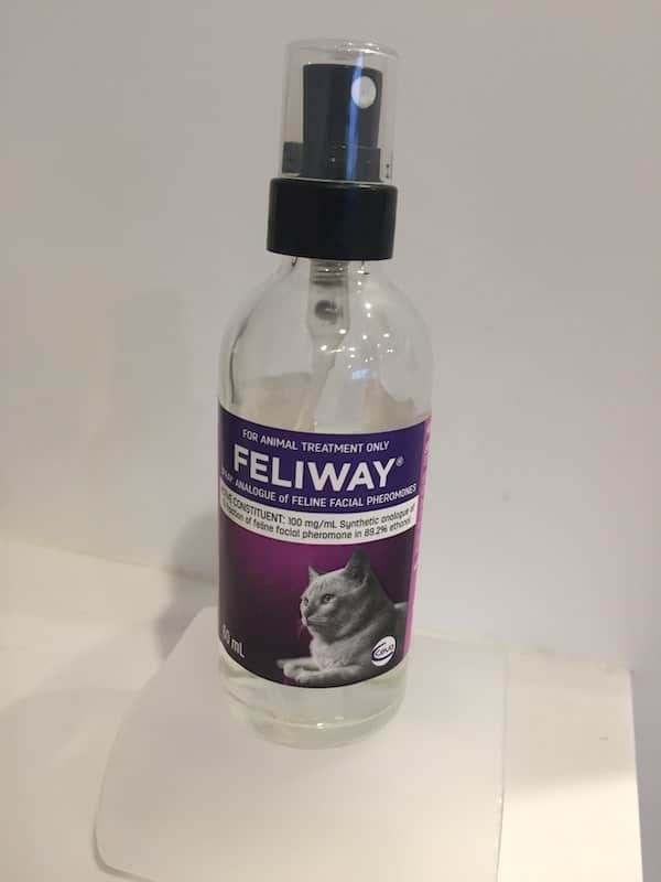 Feliway spray Feliway multicat