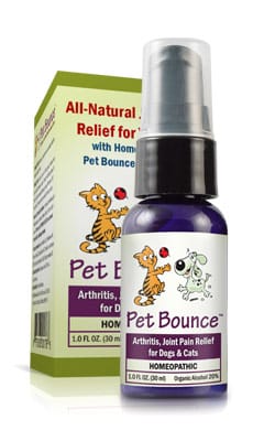Arthritis in cats - PetBounce