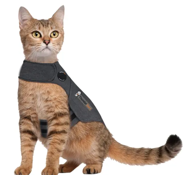 Thundershirt for cats