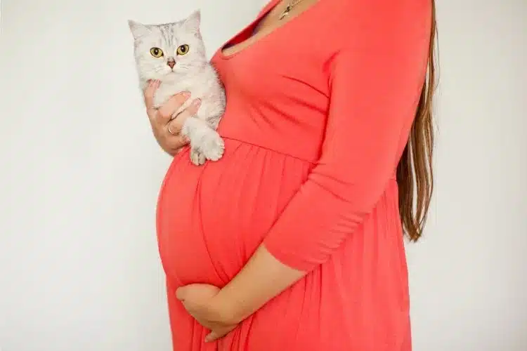 Change in Body Temperature Red Color dress pregnant women with cat