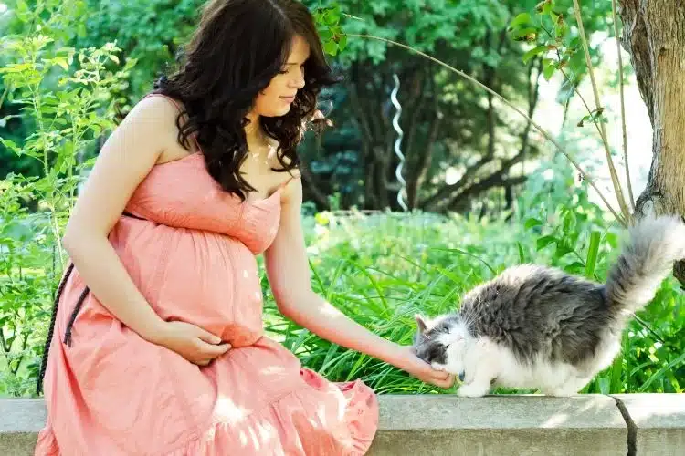 Do Cats Act Differently Around Pregnant Women A Pregnant Lady Touching Black and White Cat