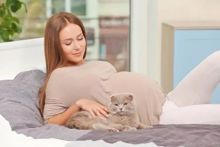 Your Cat May Act Rebellious cat and pregnant women together